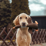 ChewDuck | The ultimate chew toy for your dog
