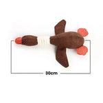 ChewDuck | The ultimate chew toy for your dog