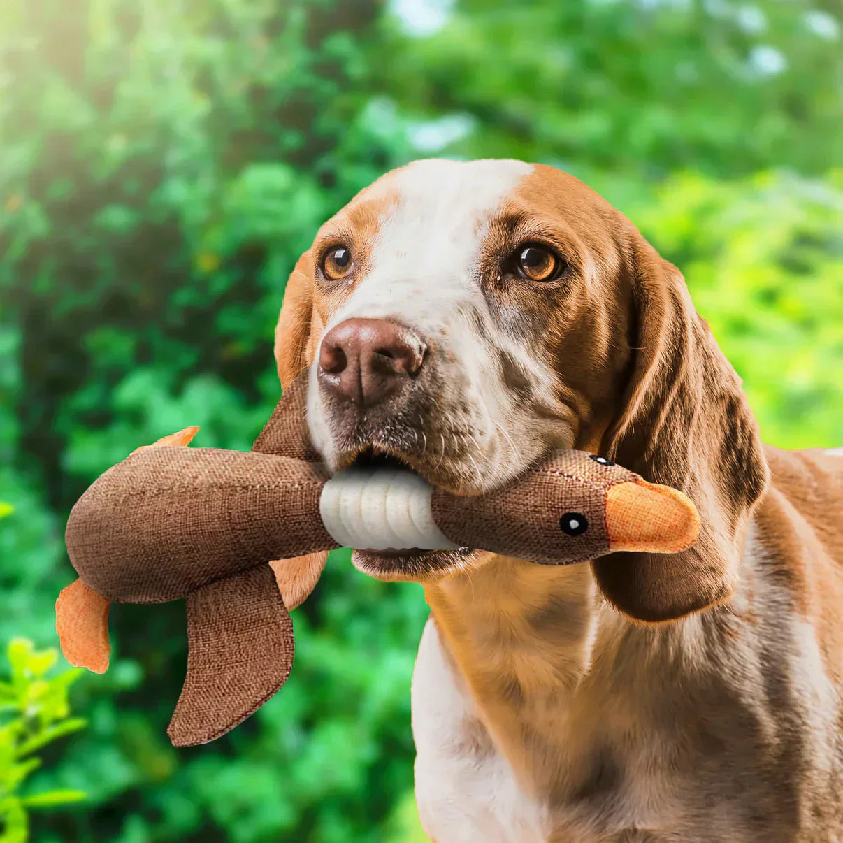ChewDuck | The ultimate chew toy for your dog