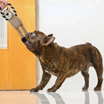 ChewFuzz | Robust and Bite-Resistant Toy