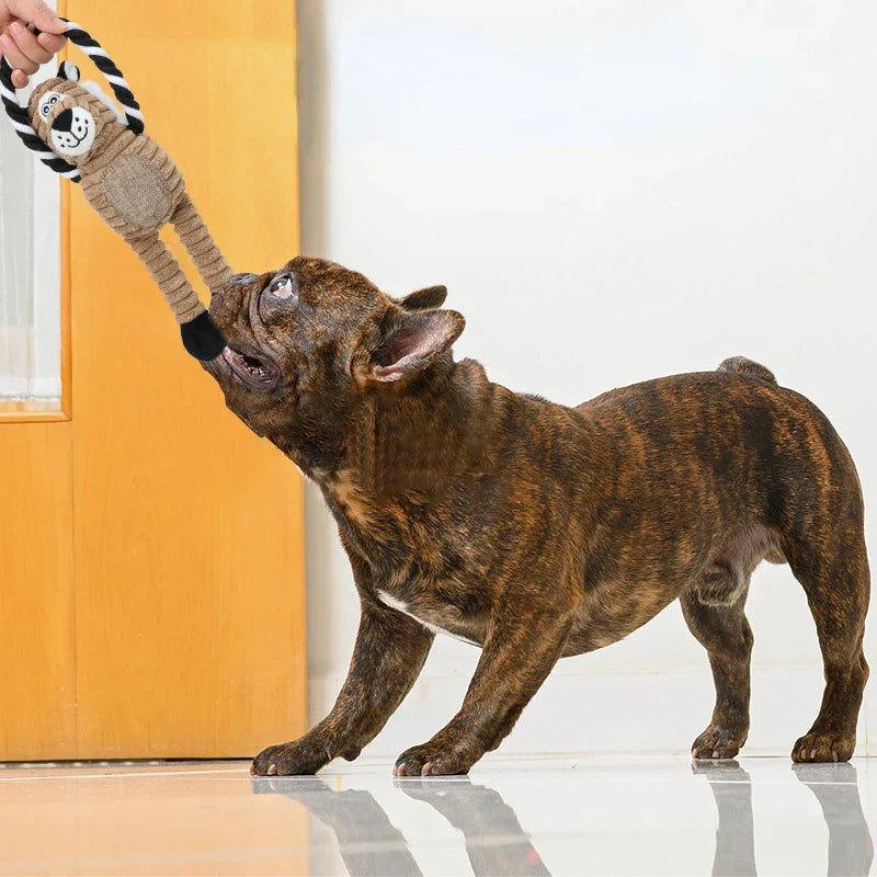 ChewFuzz | Robust and Bite-Resistant Toy