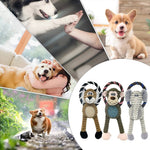 ChewFuzz | Robust and Bite-Resistant Toy