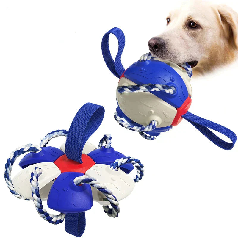 ChewTech | Multifunctional Dog Ball Sensation