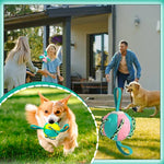 ChewTech | Multifunctional Dog Ball Sensation