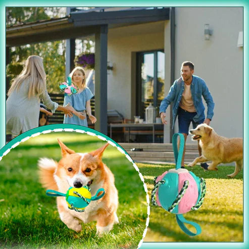 ChewTech | Multifunctional Dog Ball Sensation
