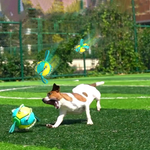 ChewTech | Multifunctional Dog Ball Sensation