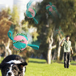 ChewTech | Multifunctional Dog Ball Sensation