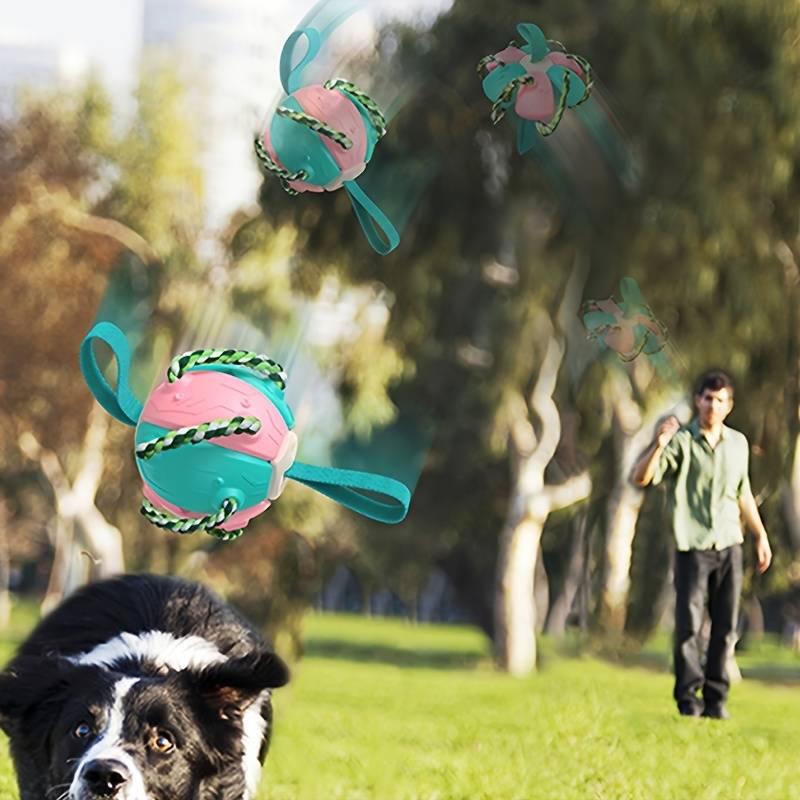 ChewTech | Multifunctional Dog Ball Sensation