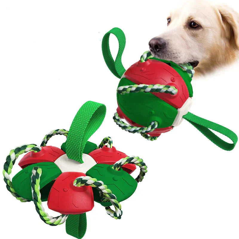 ChewTech | Multifunctional Dog Ball Sensation