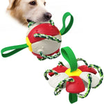 ChewTech | Multifunctional Dog Ball Sensation