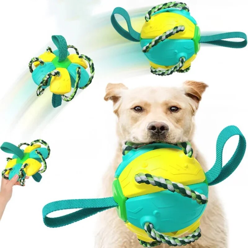 ChewTech | Multifunctional Dog Ball Sensation