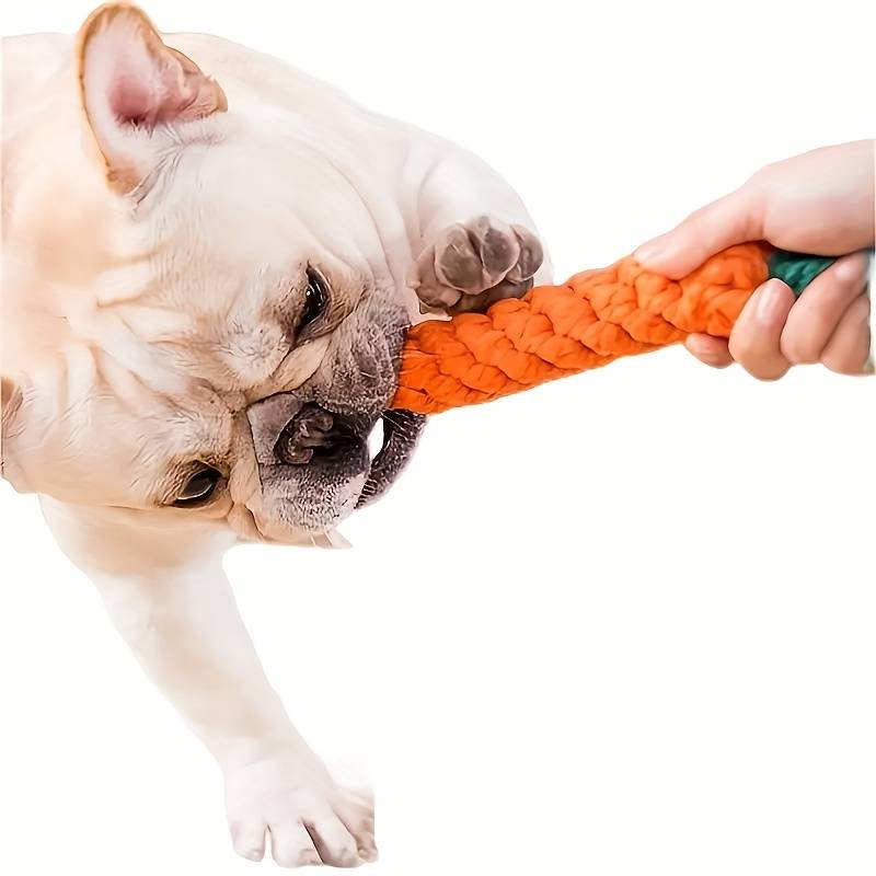 ChewyCorn | Das ultimative Kauerlebnis für Ihren Hund