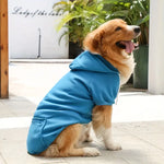 ChillWoof | Say Goodbye to Cold with This Cozy Hoodie