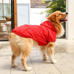 ChillWoof | Say Goodbye to Cold with This Cozy Hoodie