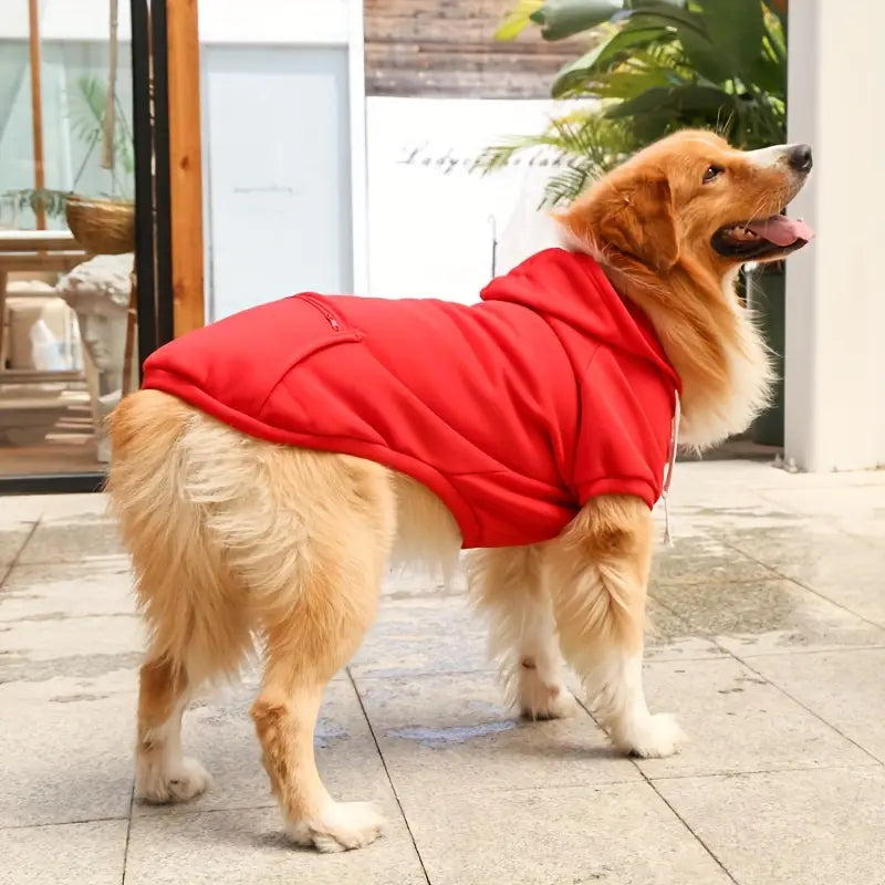 ChillWoof | Say Goodbye to Cold with This Cozy Hoodie
