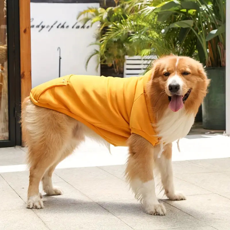 ChillWoof | Say Goodbye to Cold with This Cozy Hoodie