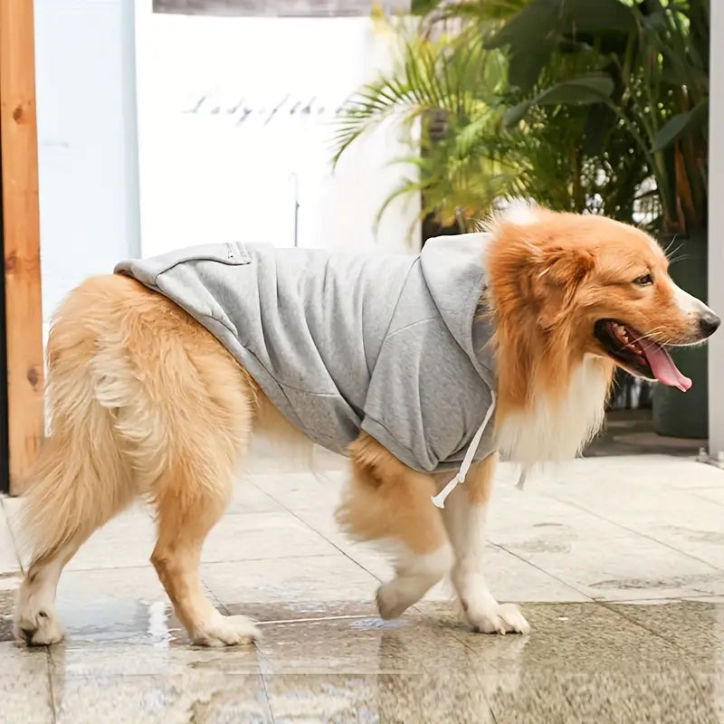 ChillWoof | Say Goodbye to Cold with This Cozy Hoodie