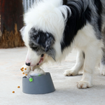Chompy | 3-in-1 Futter-Puzzle für Hunde