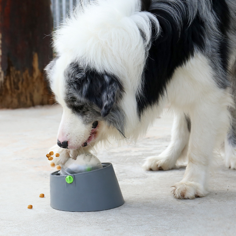 Chompy | 3-in-1 Futter-Puzzle für Hunde