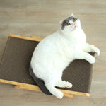 ClawCozy | Katzenschlafplatz und Kratzbaum