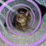 ClawCurl | Unendlicher Spielspaß für Ihre Katze