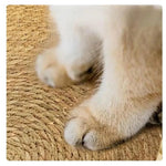 Cuddly Cat Bed – Super soft and cozy