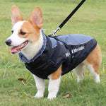 CloudTail | Insulated Dog Coat with Reflectors