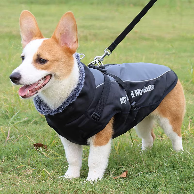 CloudTail | Insulated Dog Coat with Reflectors