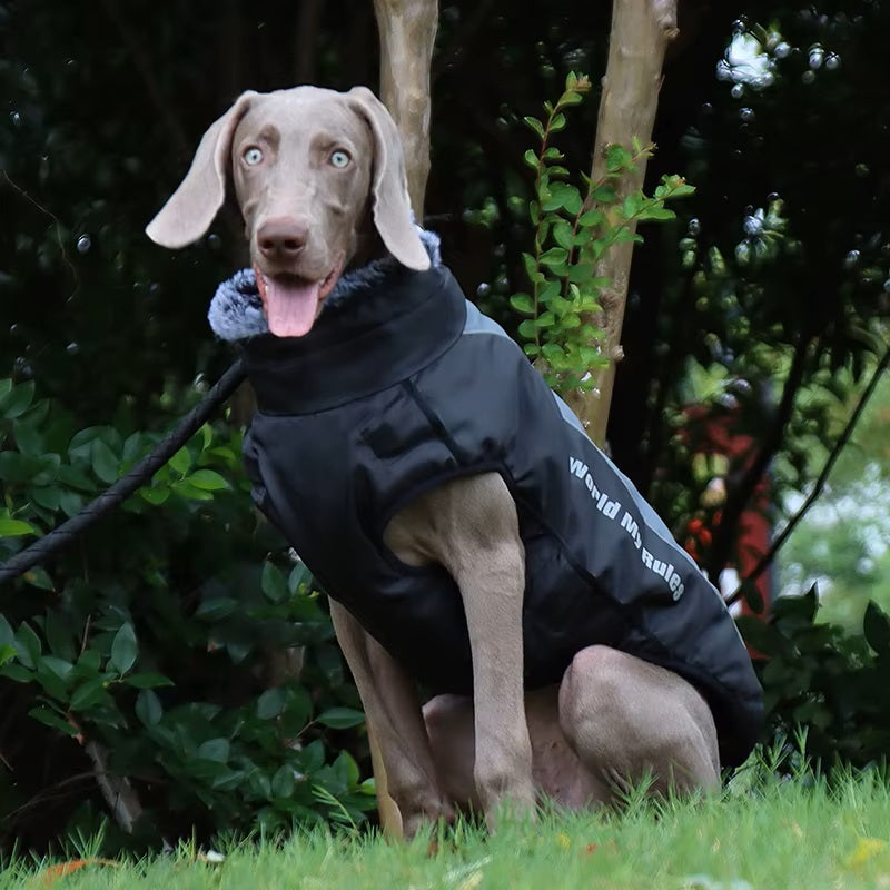 CloudTail | Insulated Dog Coat with Reflectors