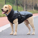 CloudTail | Insulated Dog Coat with Reflectors