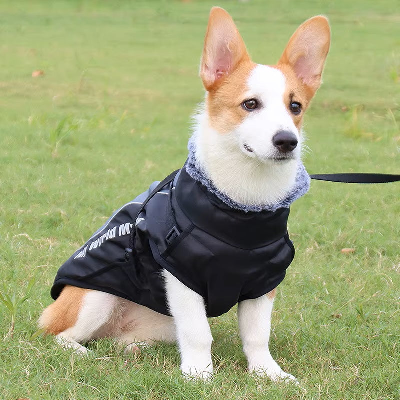 CloudTail | Insulated Dog Coat with Reflectors