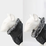 CloudTail | Insulated Dog Coat with Reflectors