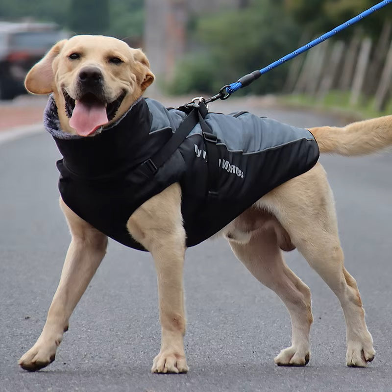 CloudTail | Insulated Dog Coat with Reflectors