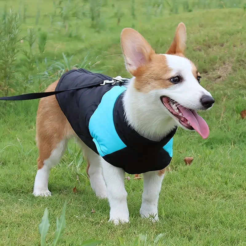 CoatPals | Sorgenfreies Spielen bei Regen und Kälte
