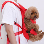 Dog Carrier for Small Dogs – Comfortable Transport Bag for the Cockpit