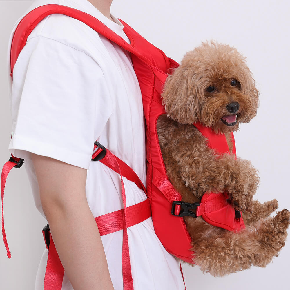 Dog Carrier for Small Dogs – Comfortable Transport Bag for the Cockpit