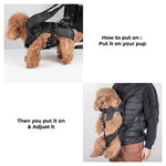 Dog Carrier for Small Dogs – Comfortable Transport Bag for the Cockpit