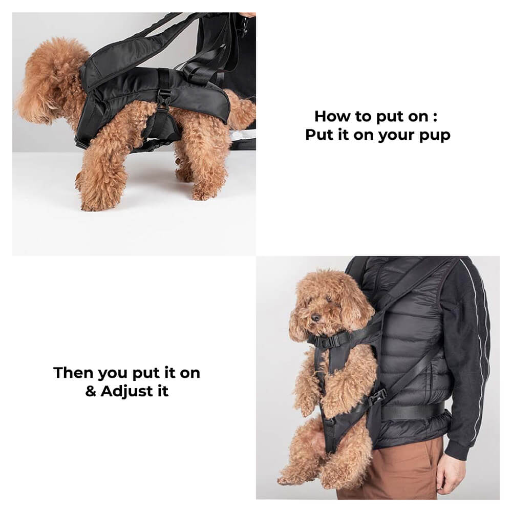 Dog Carrier for Small Dogs – Comfortable Transport Bag for the Cockpit
