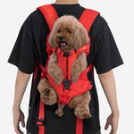 Dog Carrier for Small Dogs – Comfortable Transport Bag for the Cockpit