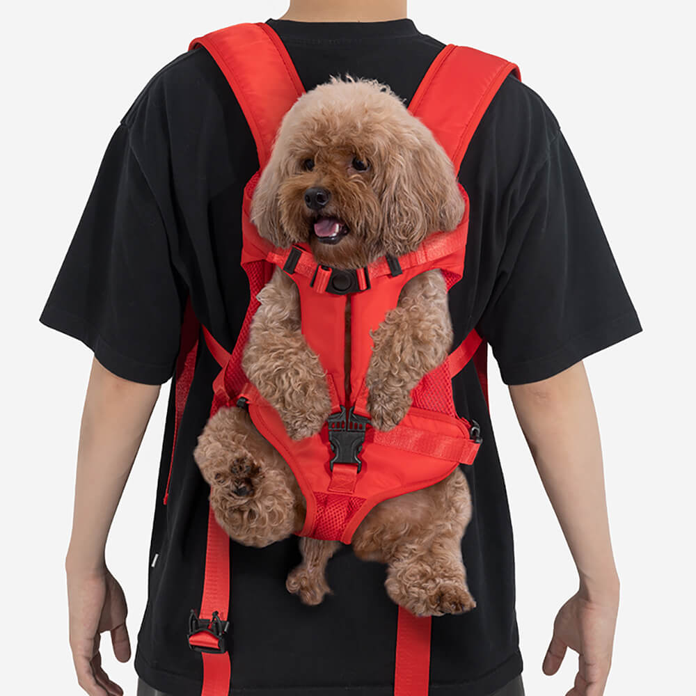 Dog Carrier for Small Dogs – Comfortable Transport Bag for the Cockpit