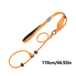 ComfiStep | The perfect companion for training and walks