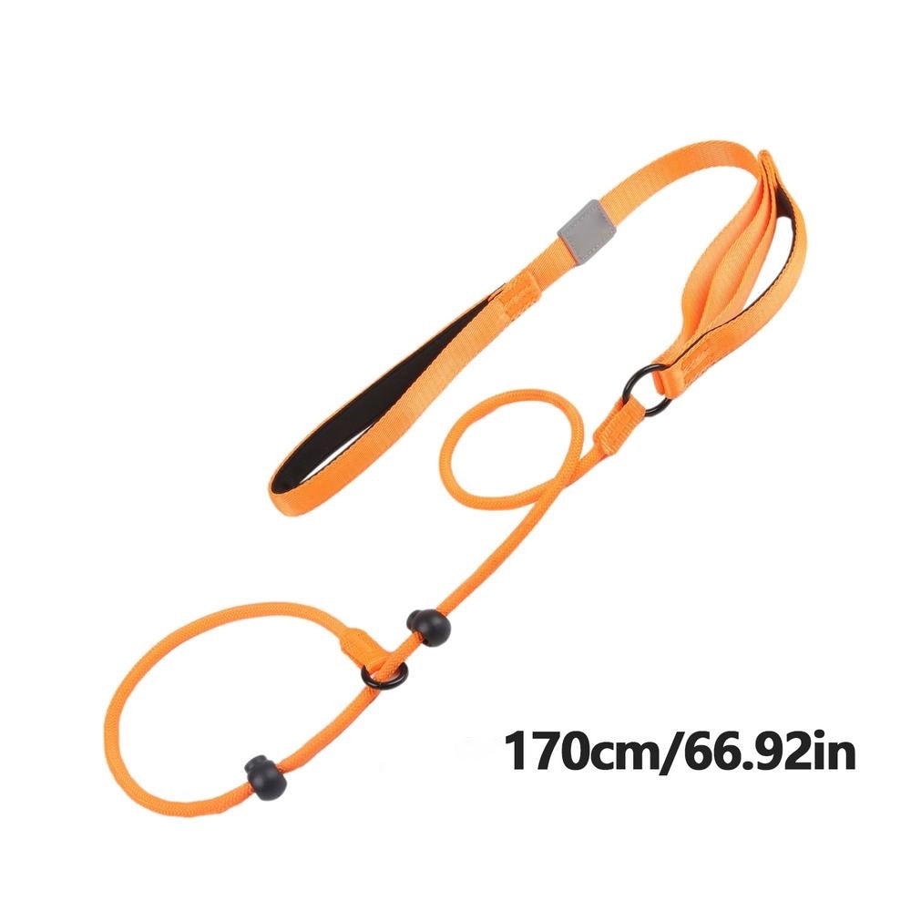 ComfiStep | The perfect companion for training and walks