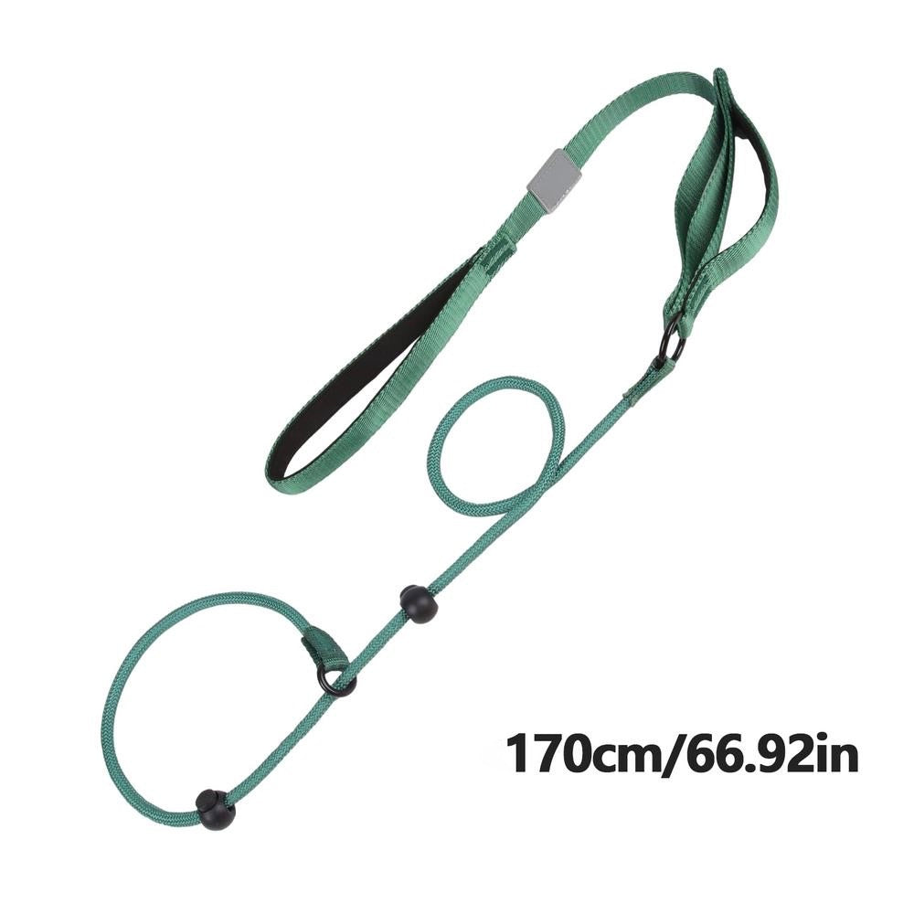 ComfiStep | The perfect companion for training and walks