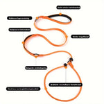 ComfiStep | The perfect companion for training and walks