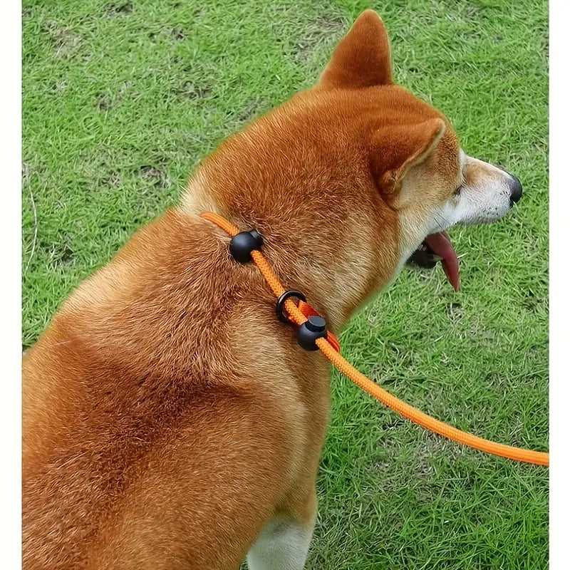 ComfiStep | The perfect companion for training and walks