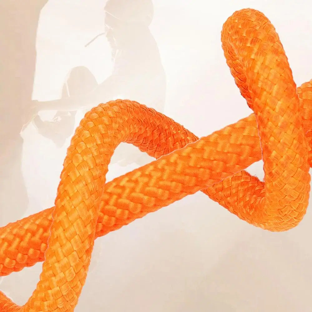 ComfiStep | The perfect companion for training and walks