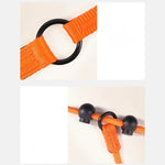 ComfiStep | The perfect companion for training and walks