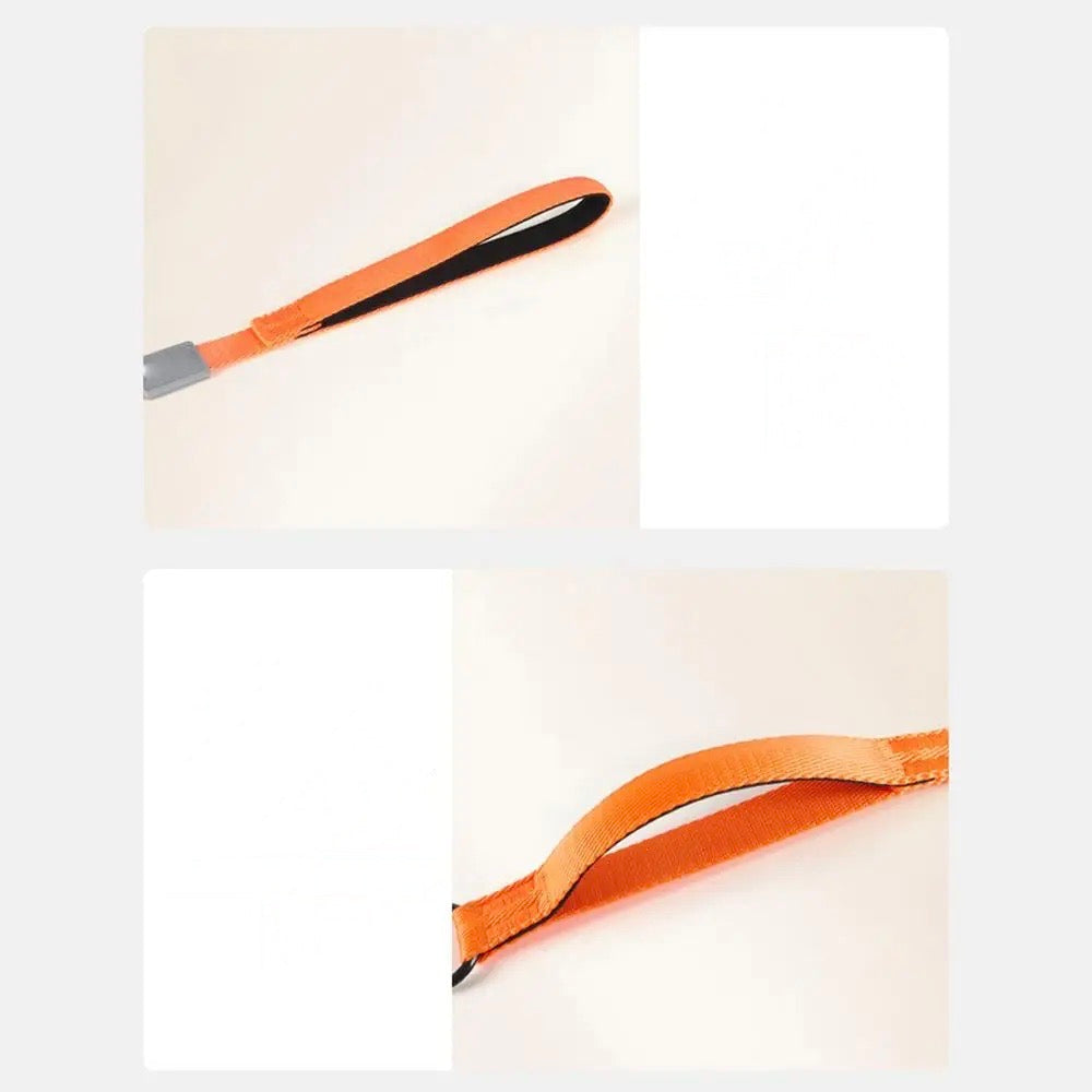 ComfiStep | The perfect companion for training and walks