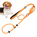 ComfiStep | The perfect companion for training and walks