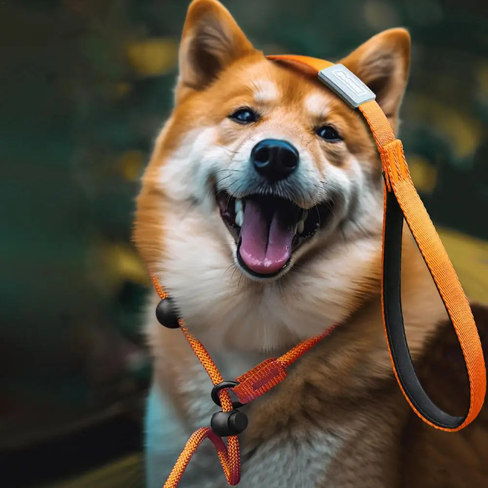 ComfiStep | The perfect companion for training and walks